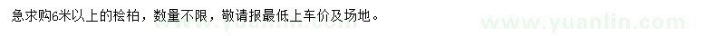 求購6米以上檜柏