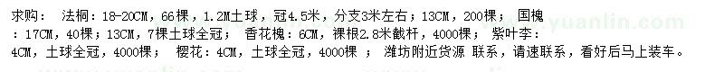 求購(gòu)法桐、國(guó)槐、香花槐等