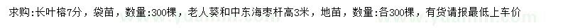 求購(gòu)長(zhǎng)葉榕、老人葵、中東海棗