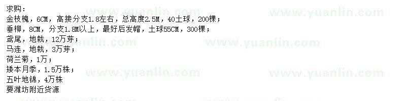 求購金枝槐、垂柳、鳶尾等