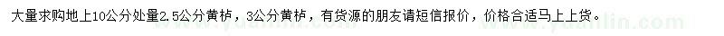 求購(gòu)10公分處量2.5公分黃櫨