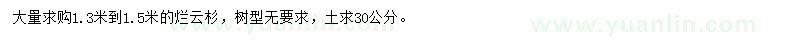 求購(gòu)1.3-1.5米爛云杉