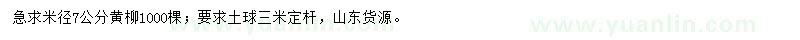 求購米徑7公分黃柳