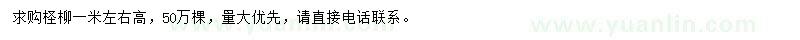 求購高1米左右檉柳