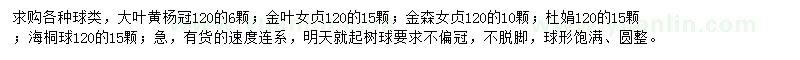 求購大葉黃楊、金葉女貞、金森女貞等