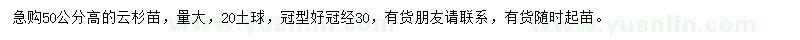 求購高50公分云杉苗