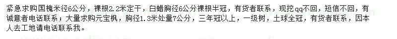 求購(gòu)國(guó)槐、白蠟、元寶楓