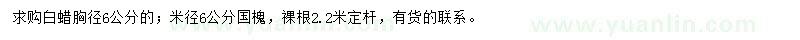 求購(gòu)白蠟、國(guó)槐