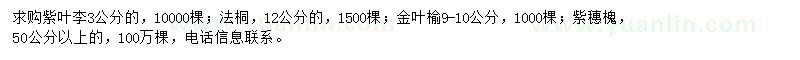 求購(gòu)紫葉李、法桐、金葉榆等
