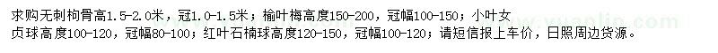 求購(gòu)無(wú)刺枸骨、榆葉梅、小葉女貞球等