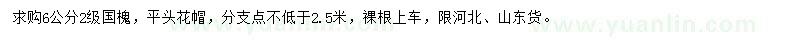 求購6公分國槐