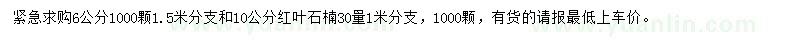 求購6、10公分紅葉石楠