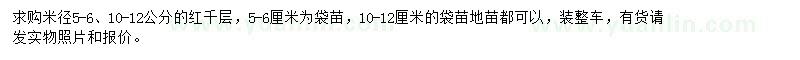 求購米徑5-6、10-12公分紅千層