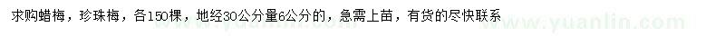 求購地徑3O量6公分蠟梅、珍珠梅