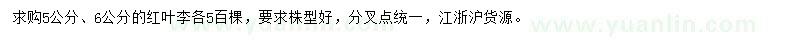 求購5、6公分紅葉李