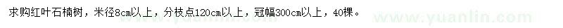求購米徑8公分以上紅葉石楠樹