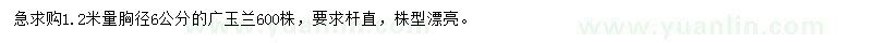 求購1.2米量胸徑6公分廣玉蘭