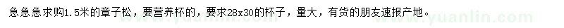 求購1.5米章子松