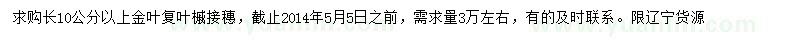 求購長10公分以上金葉復(fù)葉槭接穗