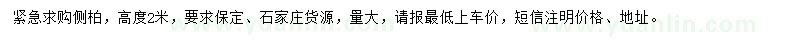 求購高2米側(cè)柏