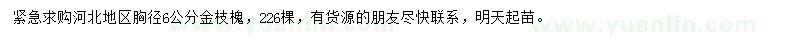 求購胸徑6公分金枝槐