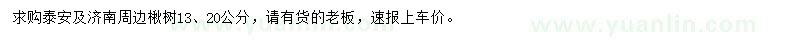 求購(gòu)13、20公分楸樹