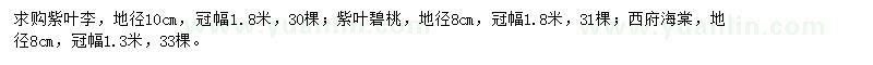 求購紫葉李、紫葉碧桃、西府海棠