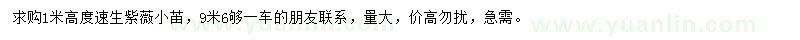 求購高1米速生紫薇小苖