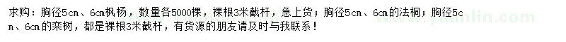 求購楓楊、法桐、欒樹