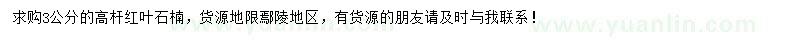 求購3公分高桿紅葉石楠