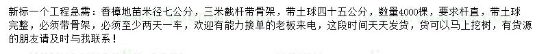 求購米徑7公分香樟