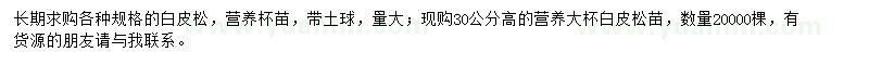 求購(gòu)白皮松、白皮松苗