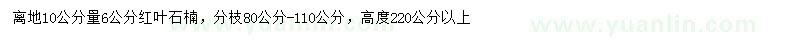 求購10公分處量6公分紅葉石楠