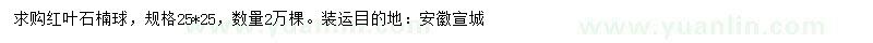 求購(gòu)紅葉石楠球