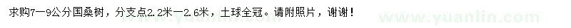 求購7-9公分桑樹