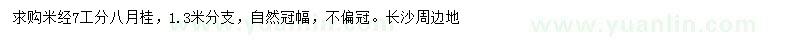 求購米徑7公分八月桂