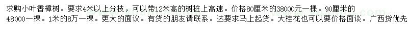 求購80、90、100公分小葉香樟樹