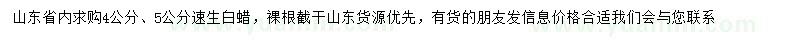 求購(gòu)4、5公分速生白蠟