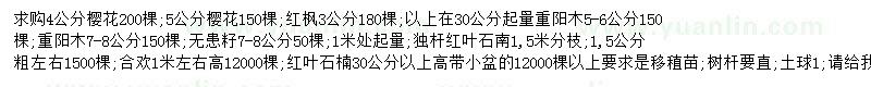 求購櫻花、紅楓、重陽木等