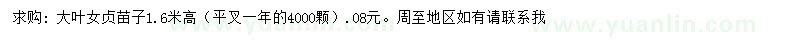 求購(gòu)大葉女貞苗子