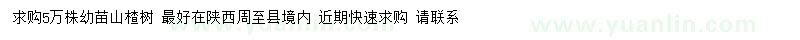 求購山楂樹小苗