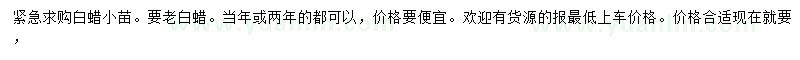 求購白蠟小苗