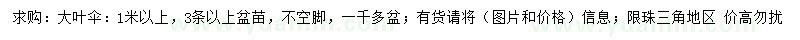 求購1米以上大葉傘