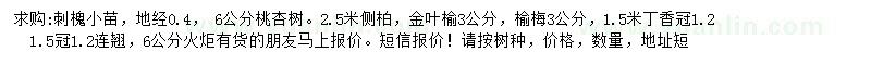 求購刺槐小苗、杏樹、側柏等