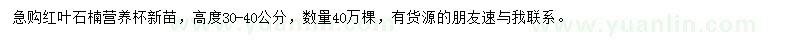 求購高30-40公分紅葉石楠小苗