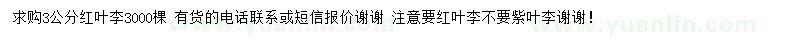 求購3公分紅葉李