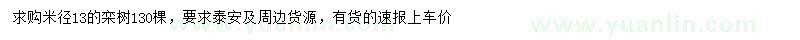 求購米徑13公分欒樹