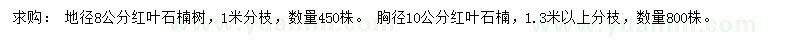 求購地徑8公分、 胸徑10公分紅葉石楠