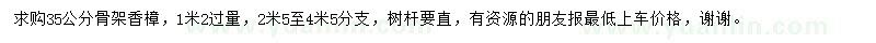 求購1.2米處量35公分香樟