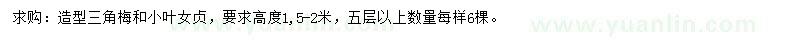 求購高1.5-2米三角梅、小葉女貞